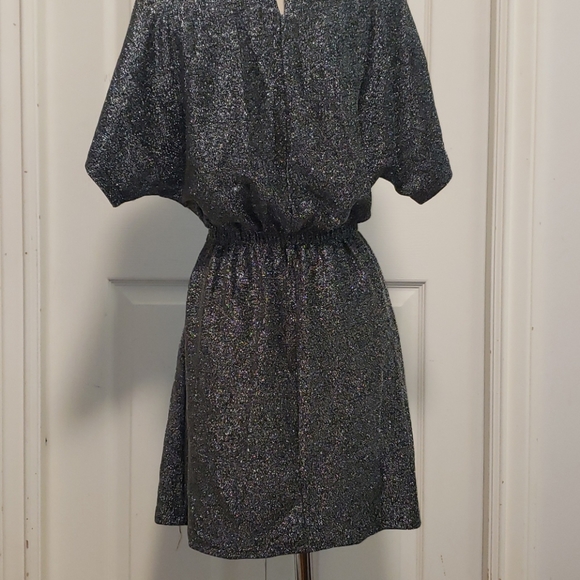 Shimmery Slinky Dress - Picture 4 of 7